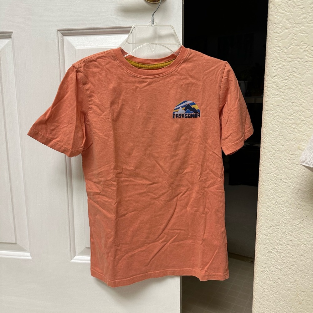 Patagonia graphic tee